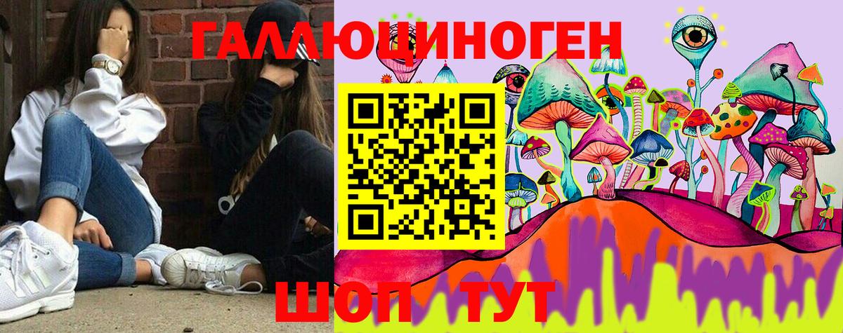 Псилоцибиновые грибы Psilocybe Зима
