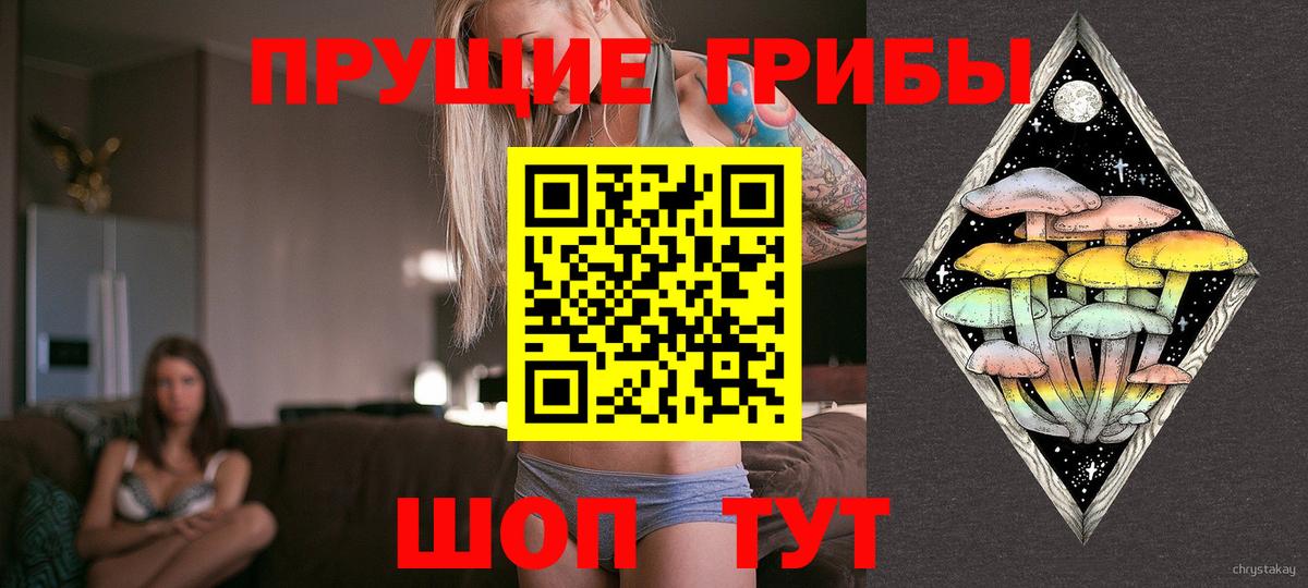 Псилоцибиновые грибы GOLDEN TEACHER  Вход с VPN  цены наркотик  Галлюциногенные грибы мухоморы  Зима 