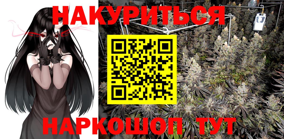 Каннабис OG Kush  МАРИХУАНА сатива  Бошки марихуана AK-47  Вход с VPN  Зима  Канабис MAZAR 
